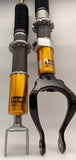 Öhlins Road & Track Suspension (Japan Spec)