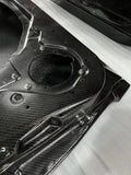 GTR35 Premium Carbon Fiber Door L/R